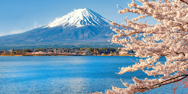 ซากุระบาน จะเริ่มบานครั้งแรก 2024 ประเทศญี่ปุ่น